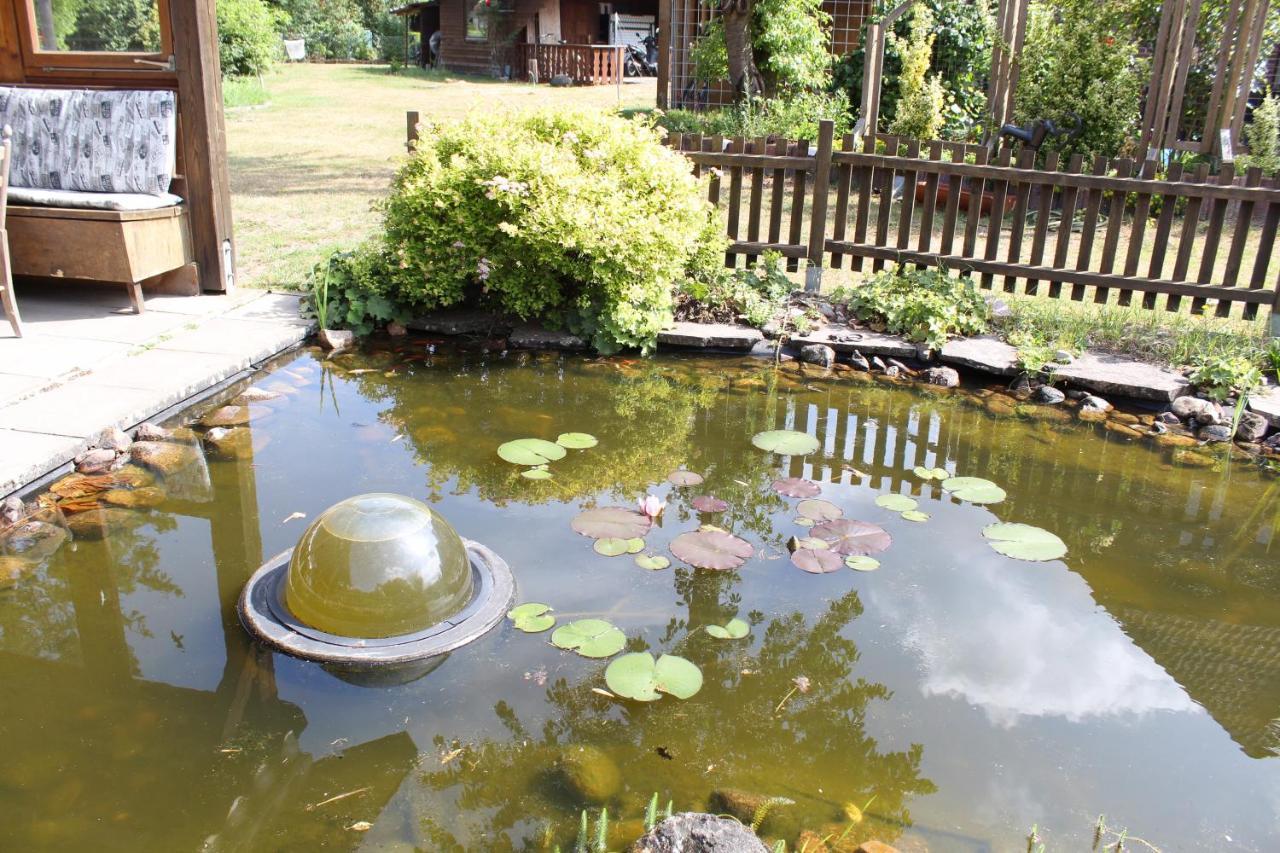 Gepetto Ferienhaus Wissenbach Hademstorf エクステリア 写真