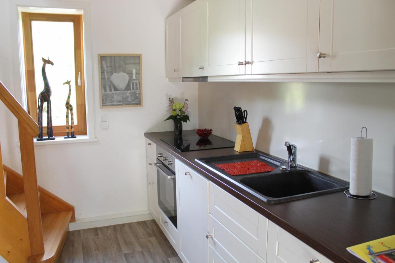 Gepetto Ferienhaus Wissenbach Hademstorf エクステリア 写真